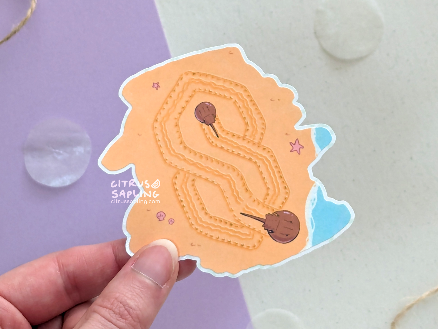 HorSeShoe CrabS Sticker