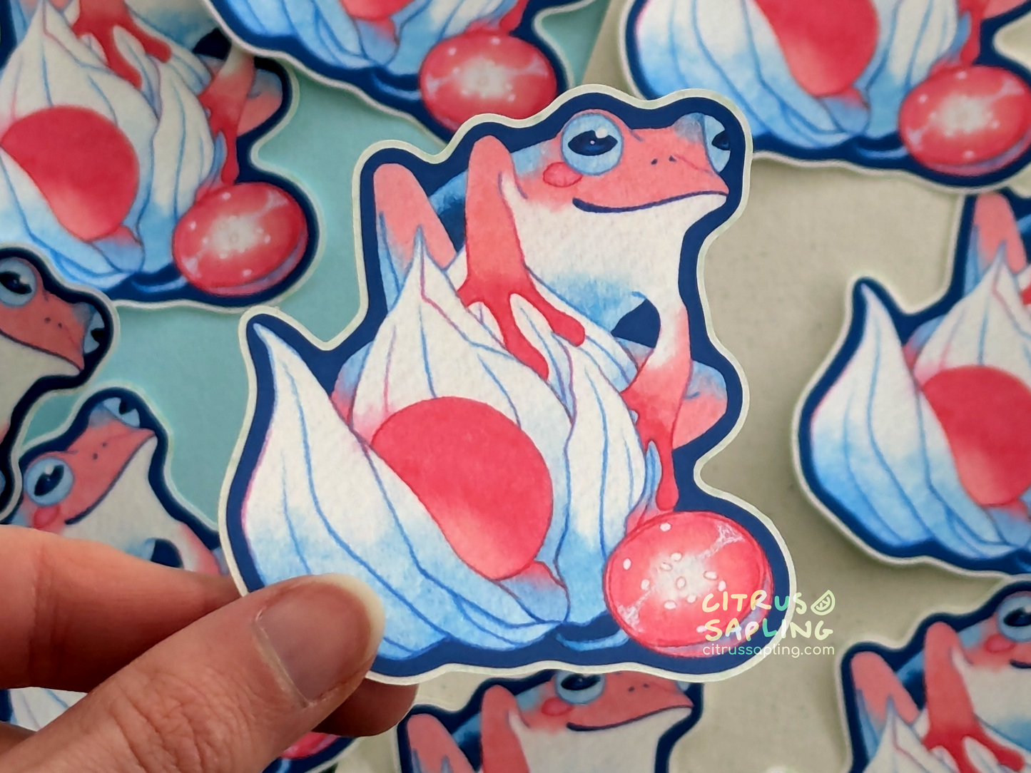 Lantern Frog Sticker