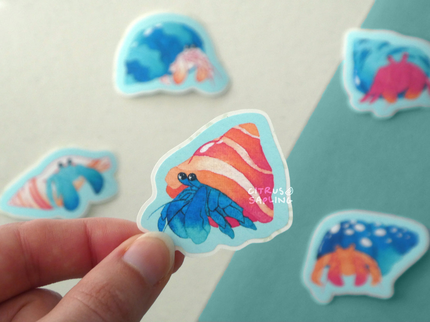 Hermit Crabs Sticker Pack (5pcs)