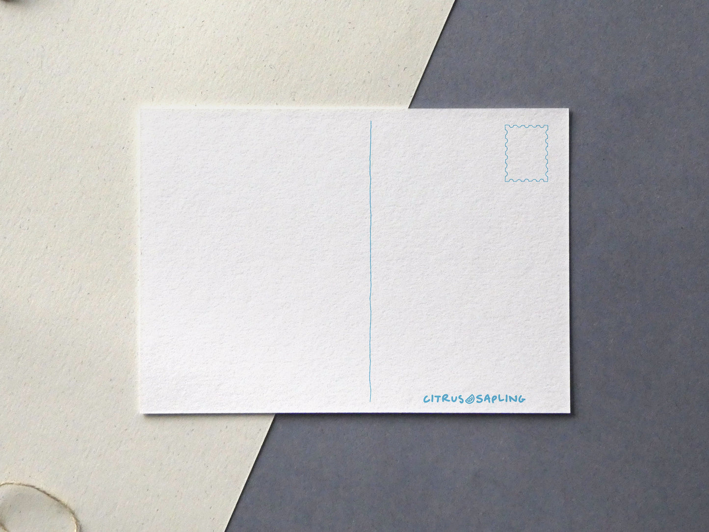 Lunar Phases Postcard Prints