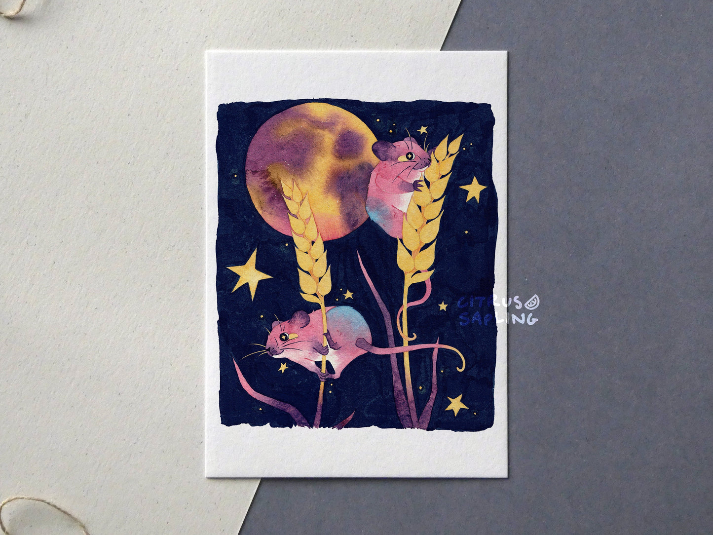 Lunar Phases Postcards