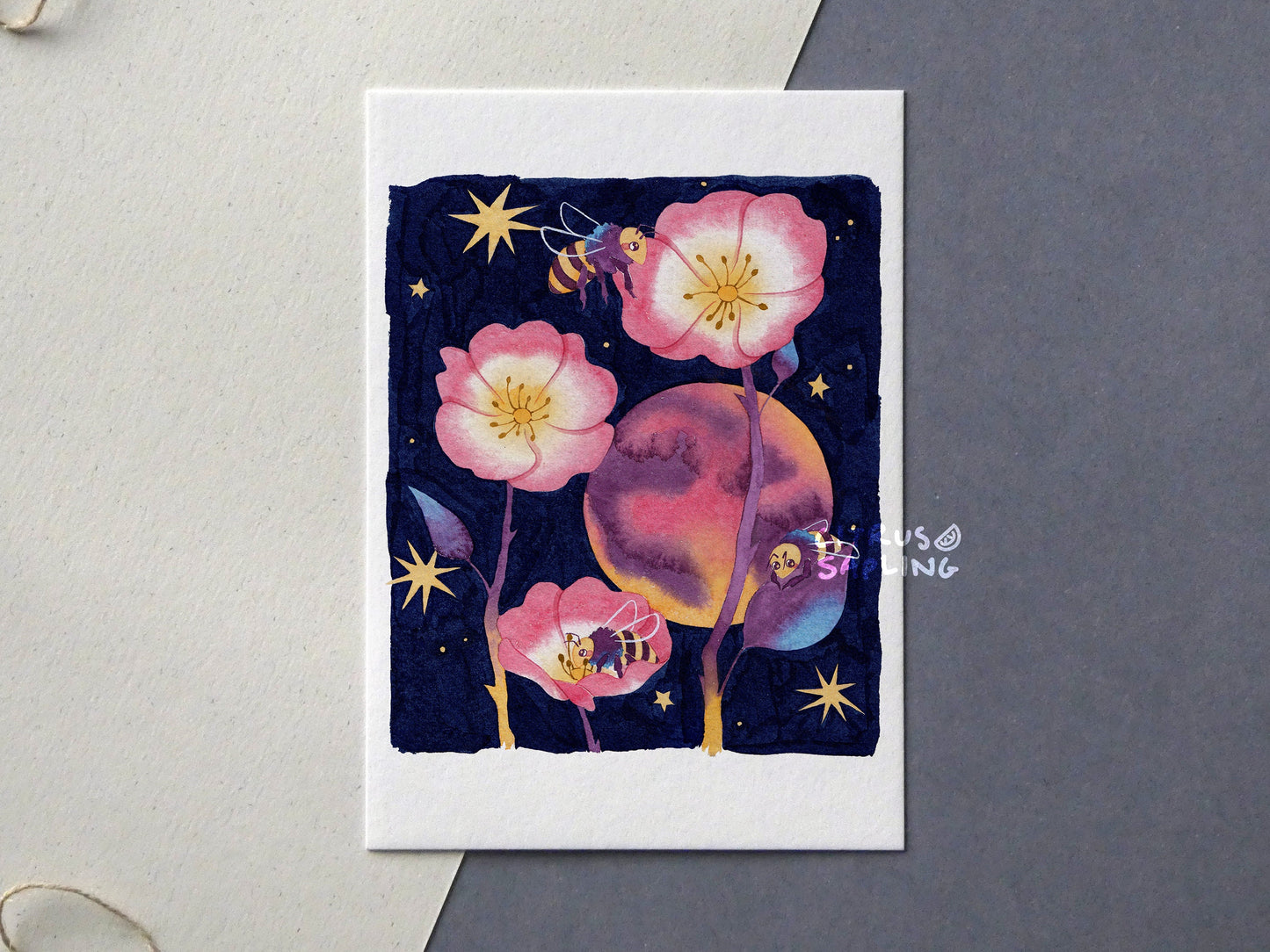 Lunar Phases Postcards