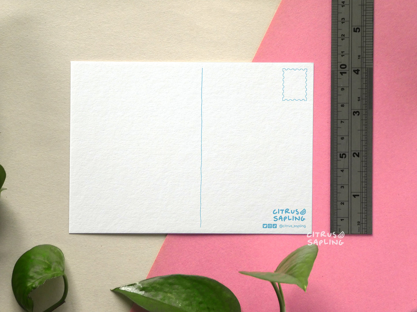 Hammerhead Shark Postcard Print