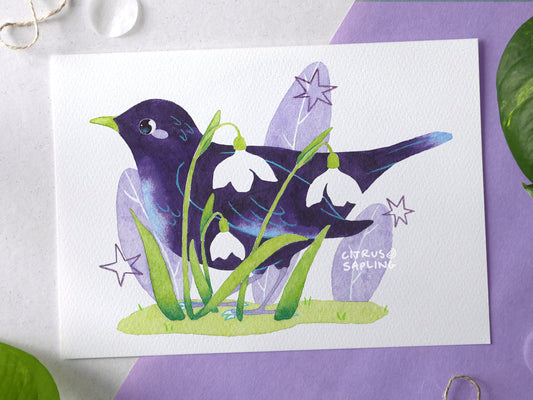 Blackbird Snowdrops Art Print