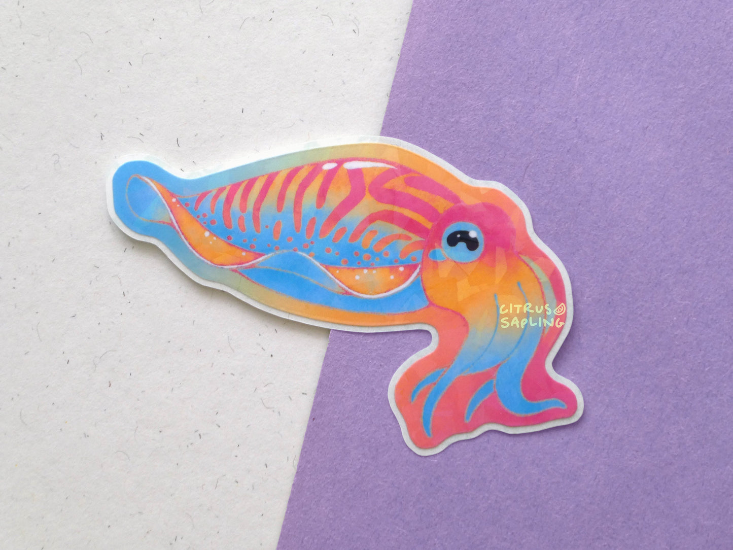 Pride Cuttlefish Sticker
