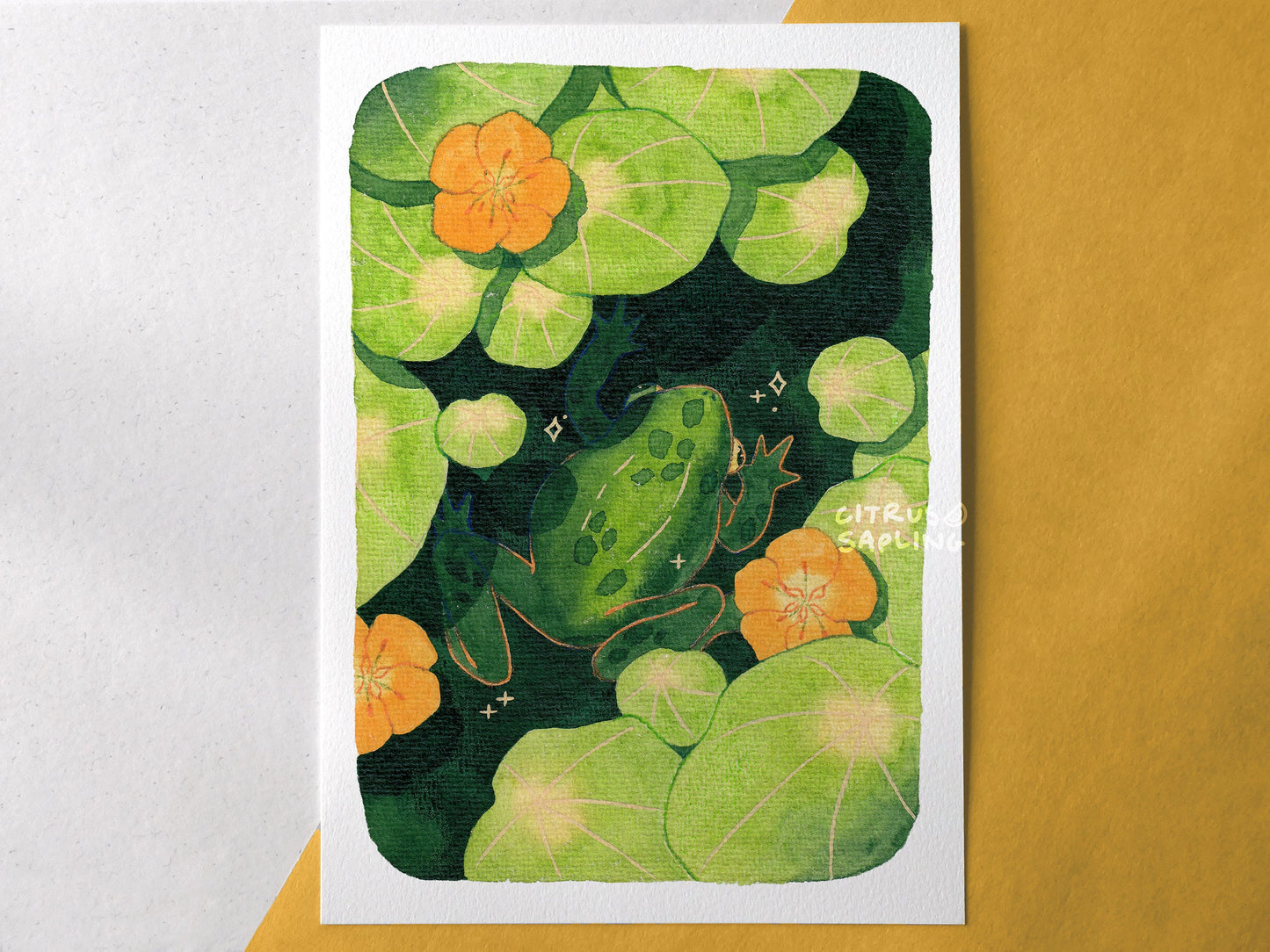 Nasturtium Frog Art Print
