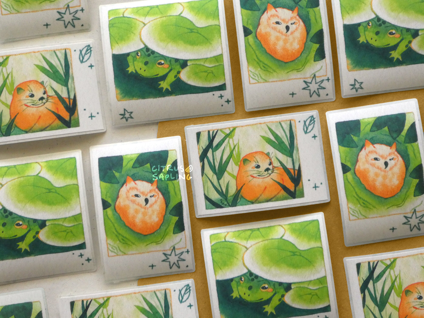 Animal Polaroids Sticker Pack (3pcs)