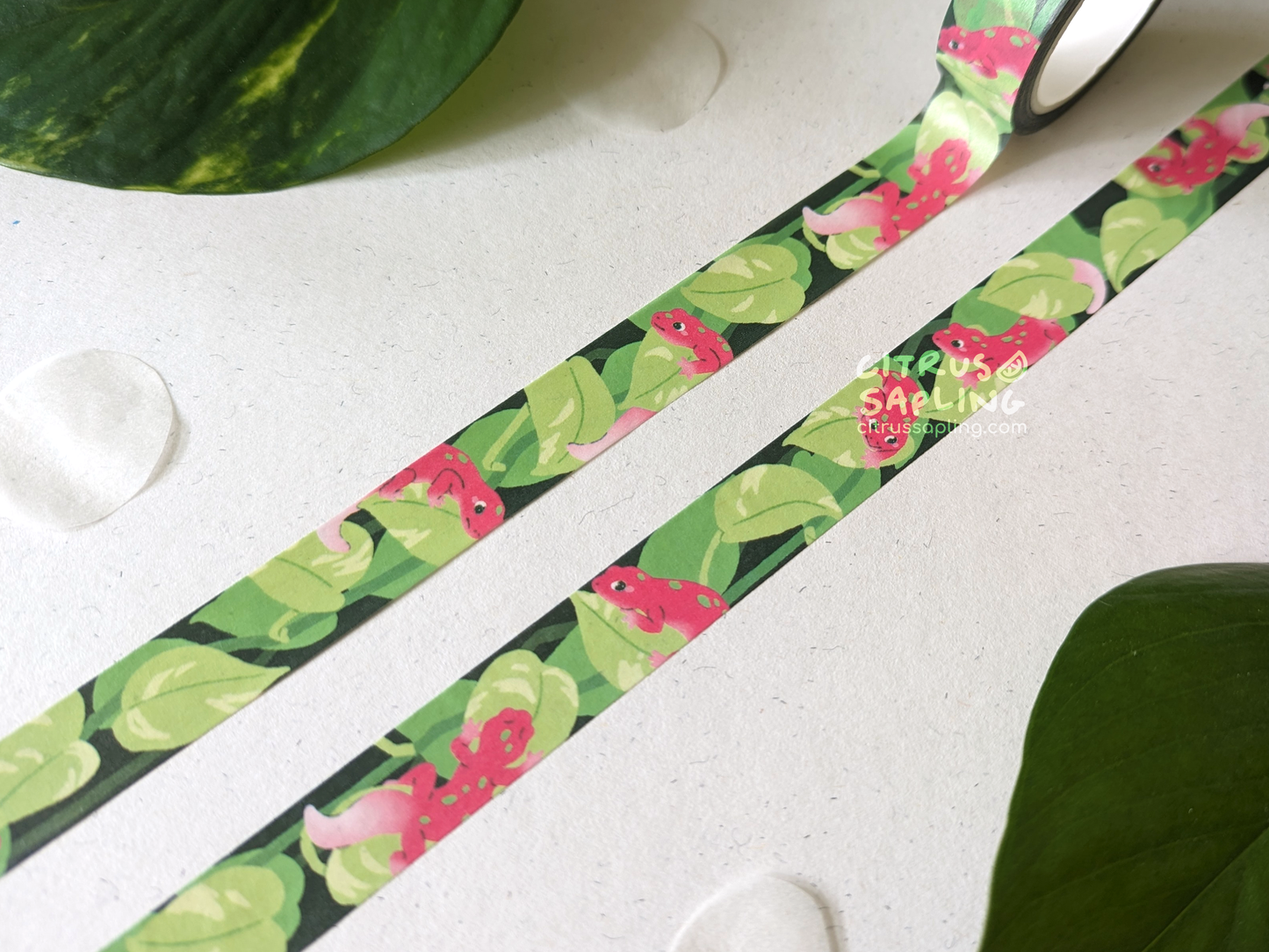 Pothos Geckos Washi Tape