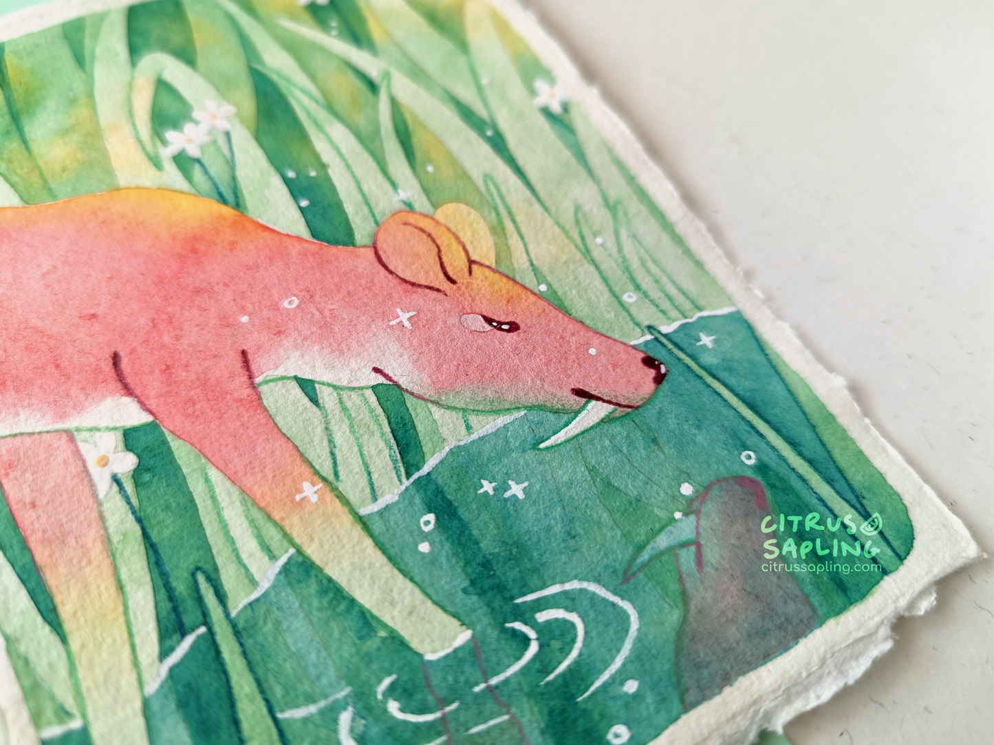 Deer Pond Original Watercolour Painting