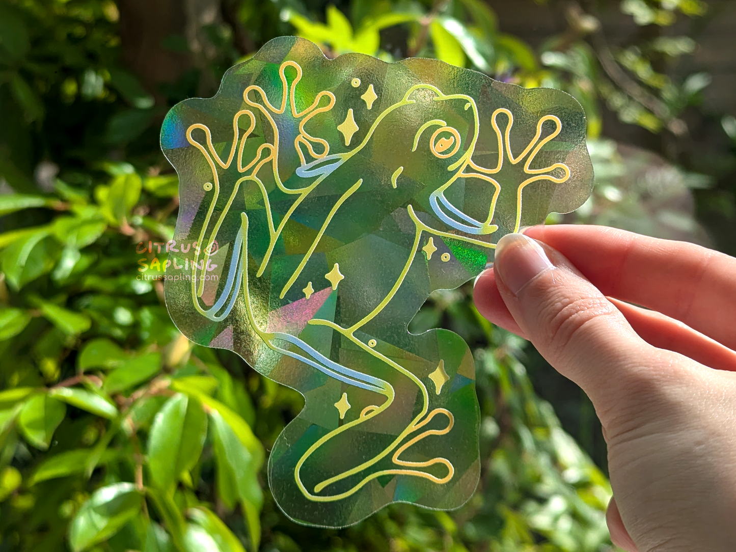 Tree Frog Suncatcher