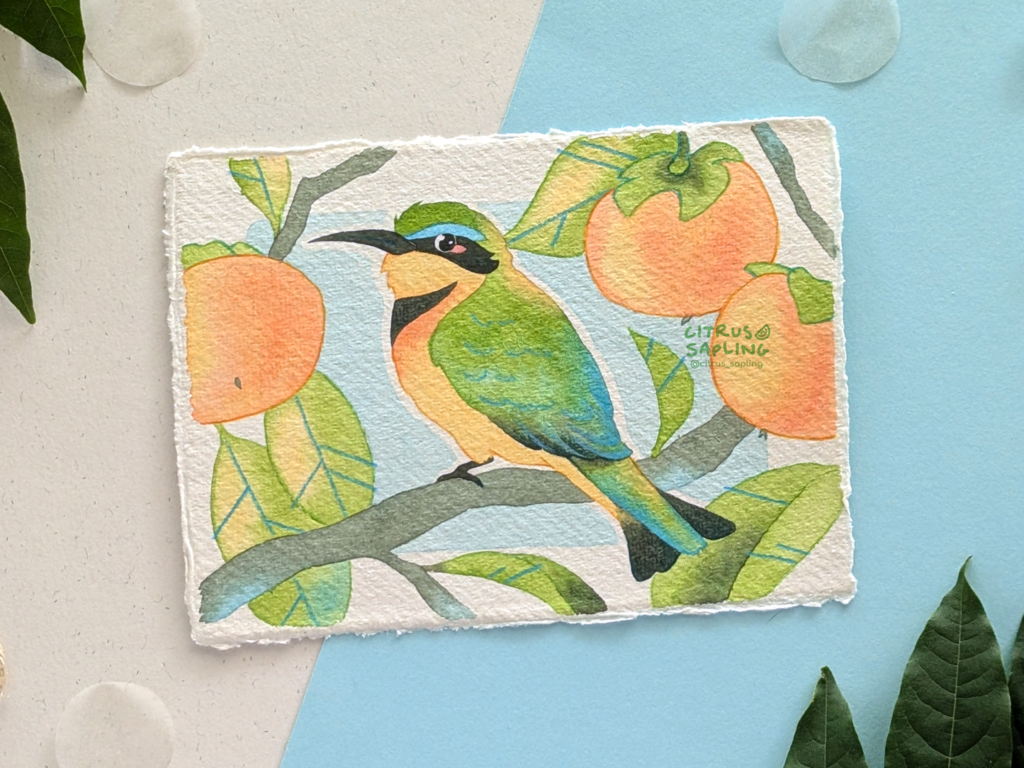 Little Bee-Eater Original Watercolour Painting