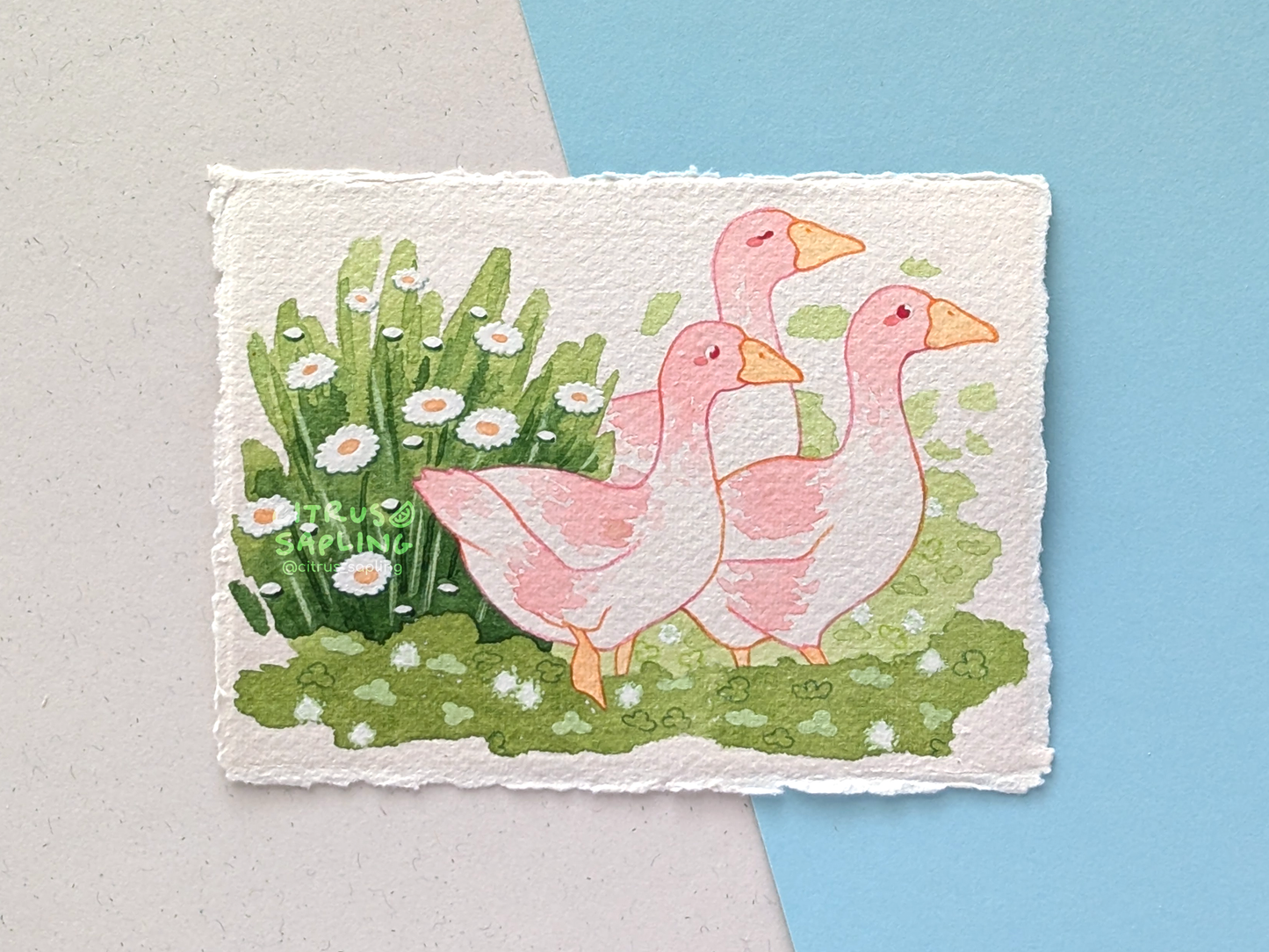 Garden Geese Original Watercolour Painting