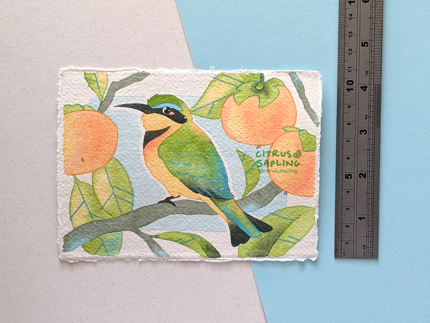 Little Bee-Eater Original Watercolour Painting