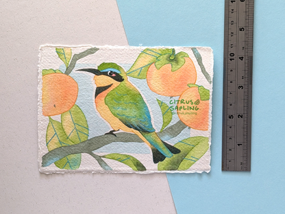 Little Bee-Eater Original Watercolour Painting