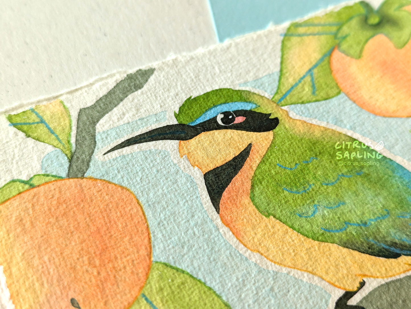 Little Bee-Eater Original Watercolour Painting