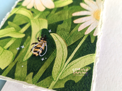 Leafcutter Bee Original Watercolour Painting