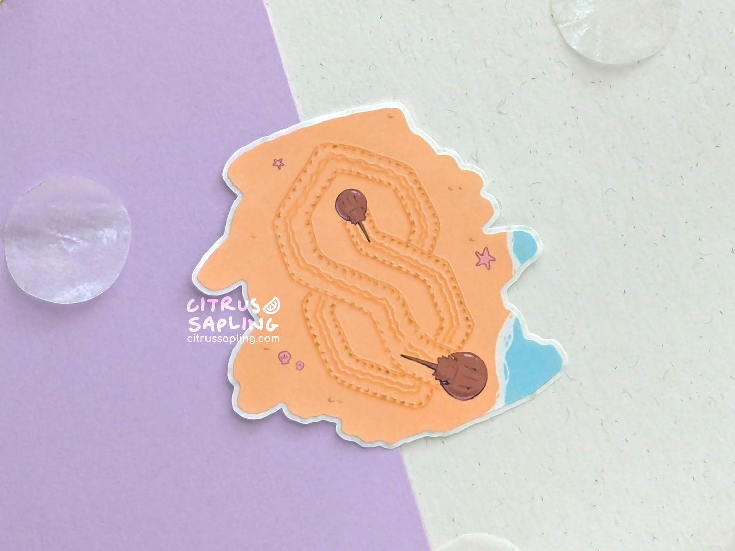 HorSeShoe CrabS Sticker