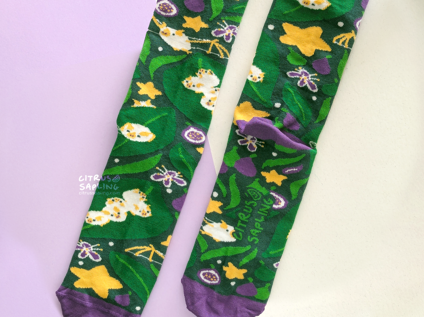 Honduran White Bats Socks