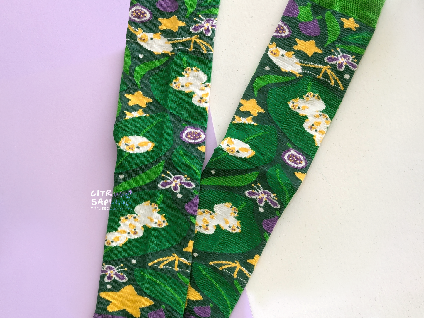 Honduran White Bats Socks