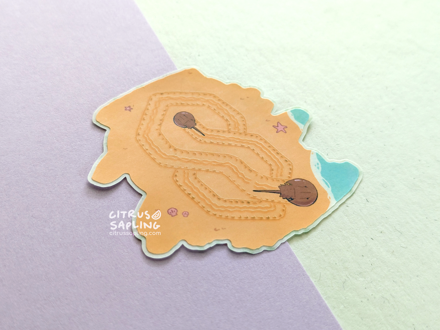 HorSeShoe CrabS Sticker