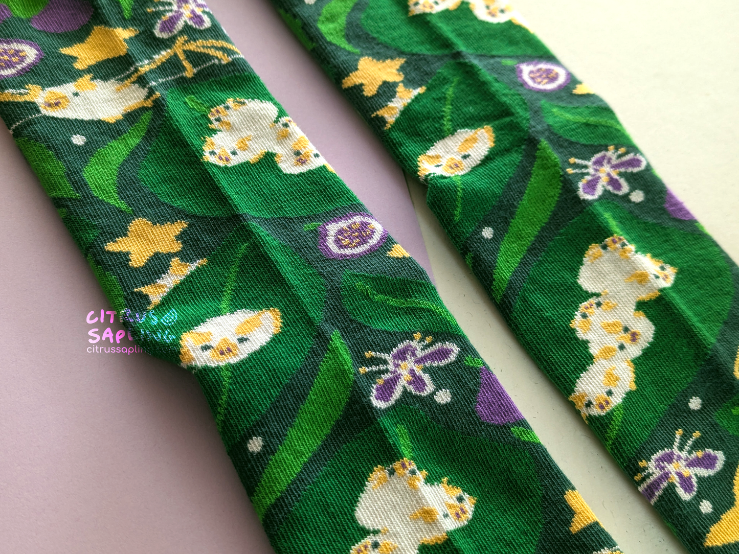 Honduran White Bats Socks