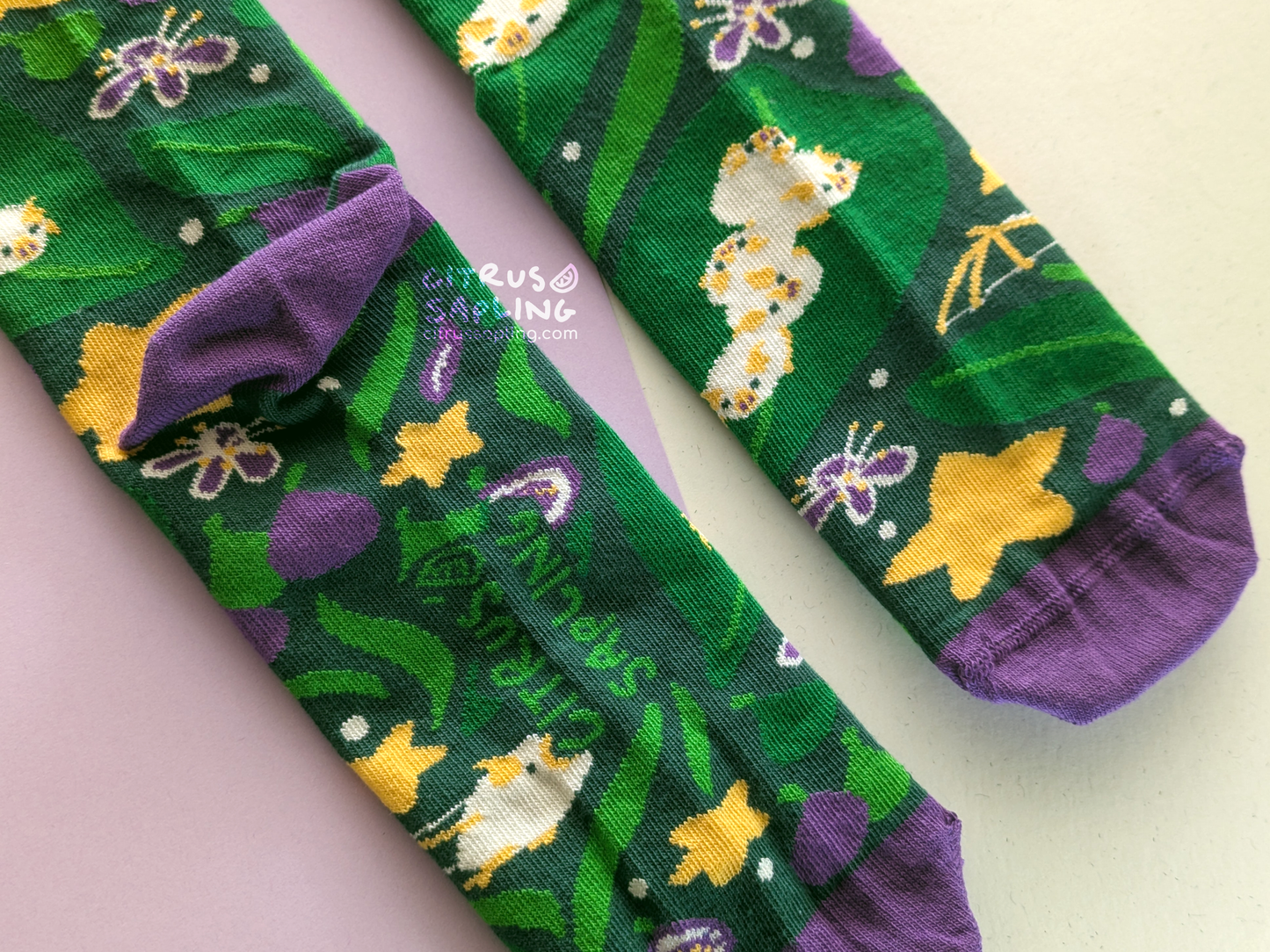 Honduran White Bats Socks