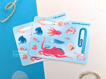 Cephalopods Mini Sticker Sheet