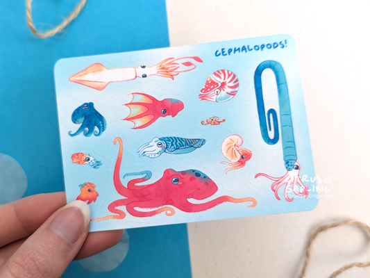 Cephalopods Mini Sticker Sheet