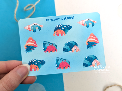 Hermit Crabs Mini Sticker Sheet