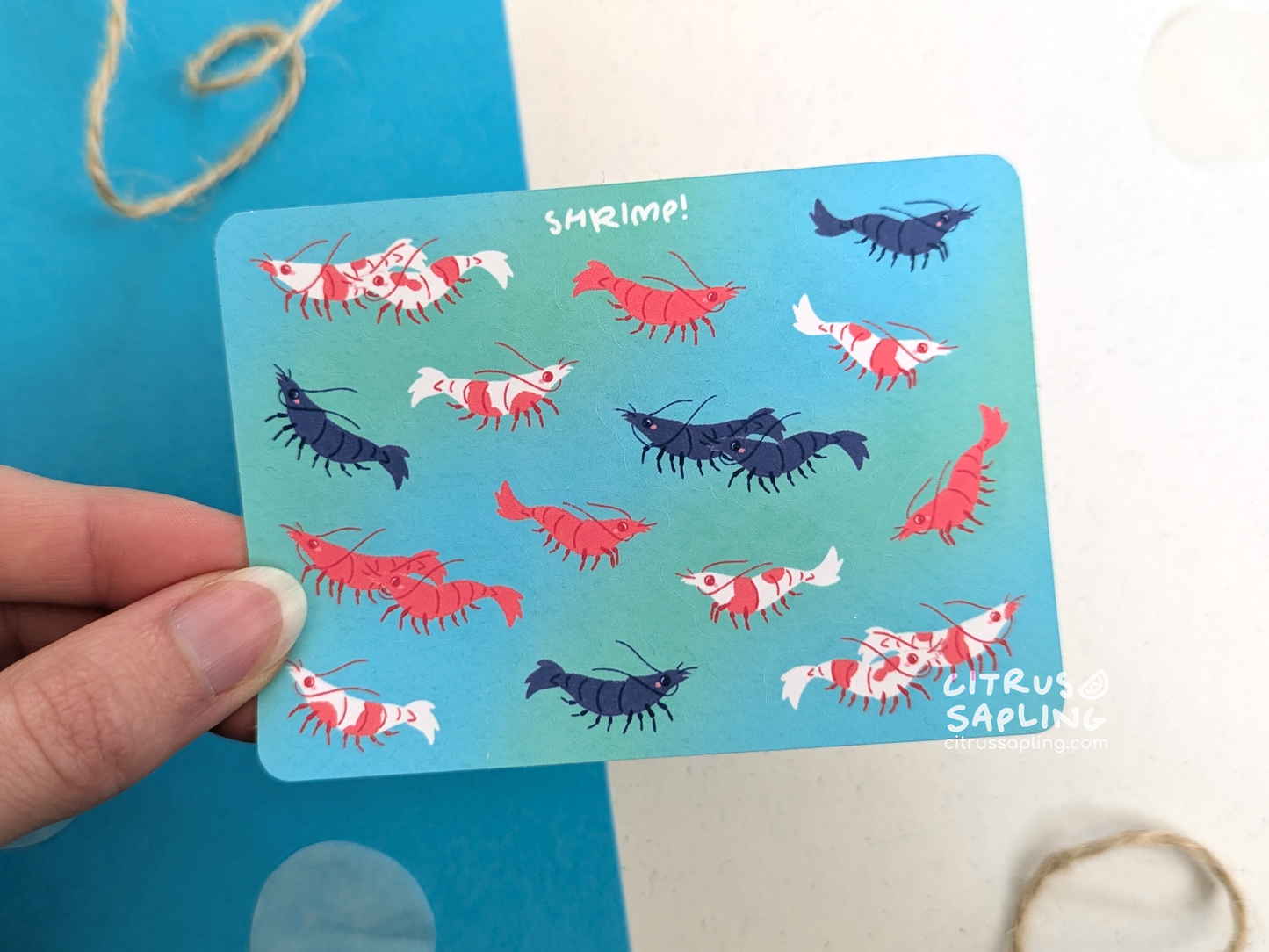 Shrimp Mini Sticker Sheet
