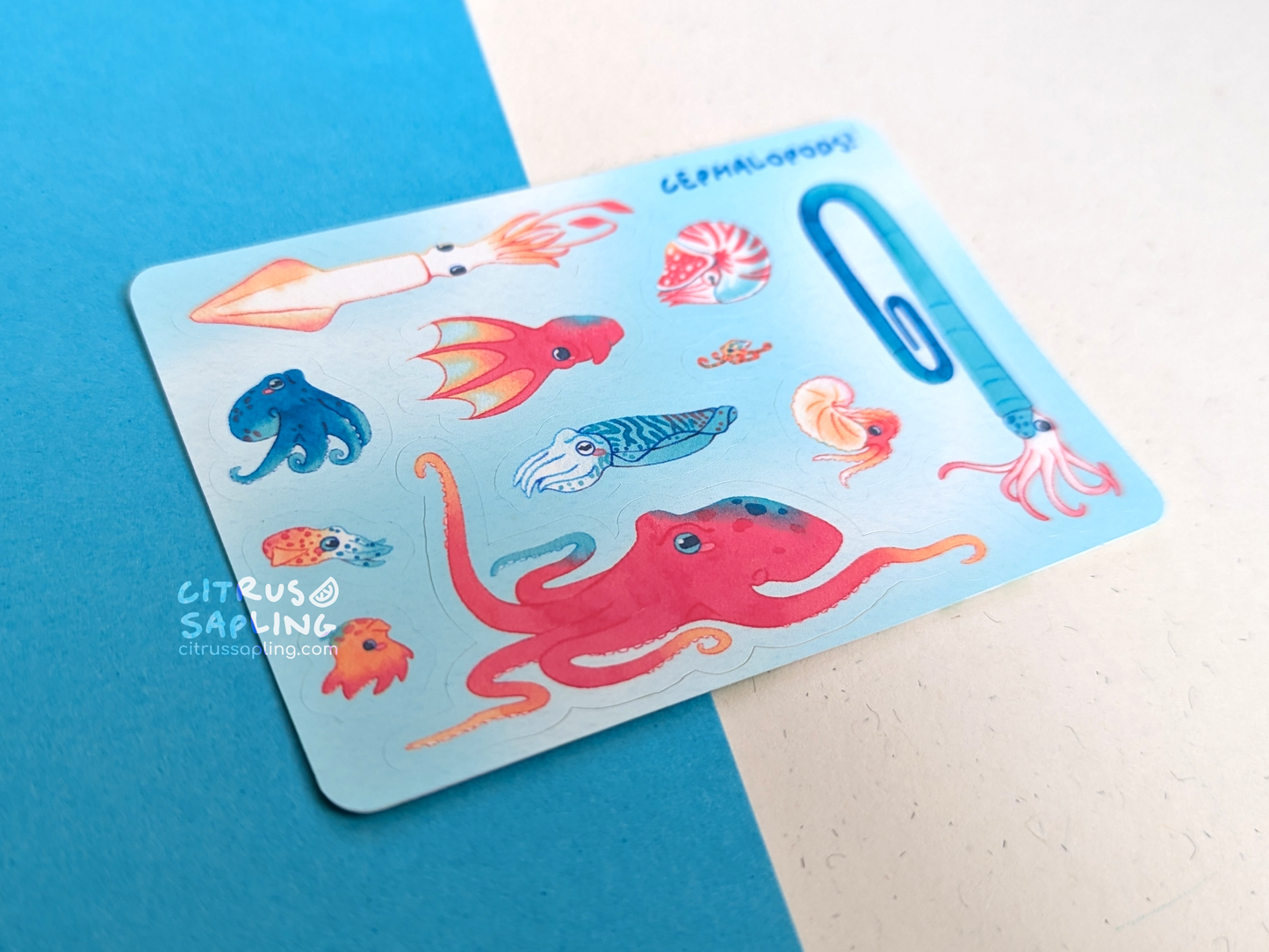 Cephalopods Mini Sticker Sheet