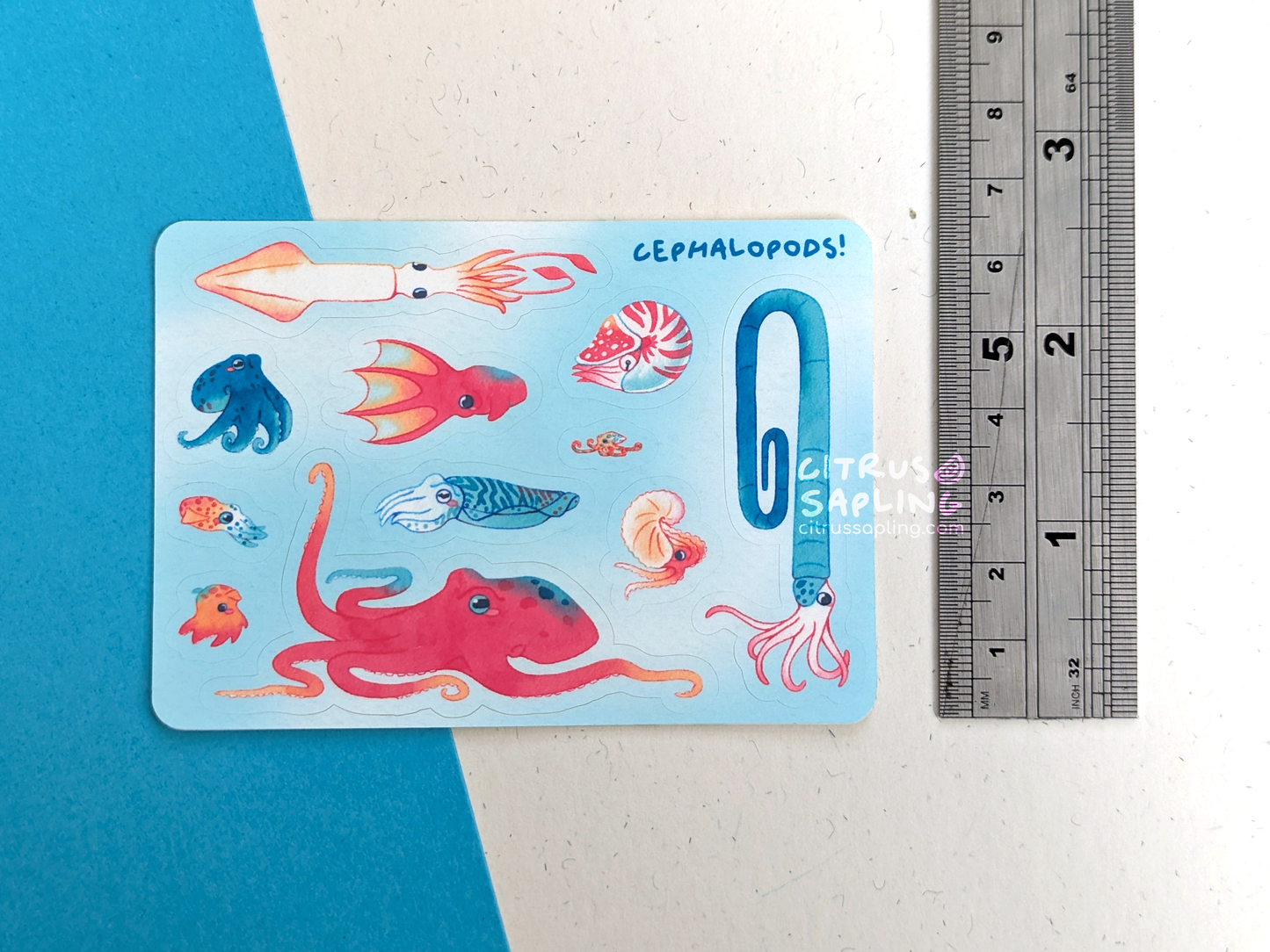 Cephalopods Mini Sticker Sheet