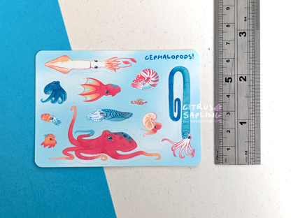 Cephalopods Mini Sticker Sheet