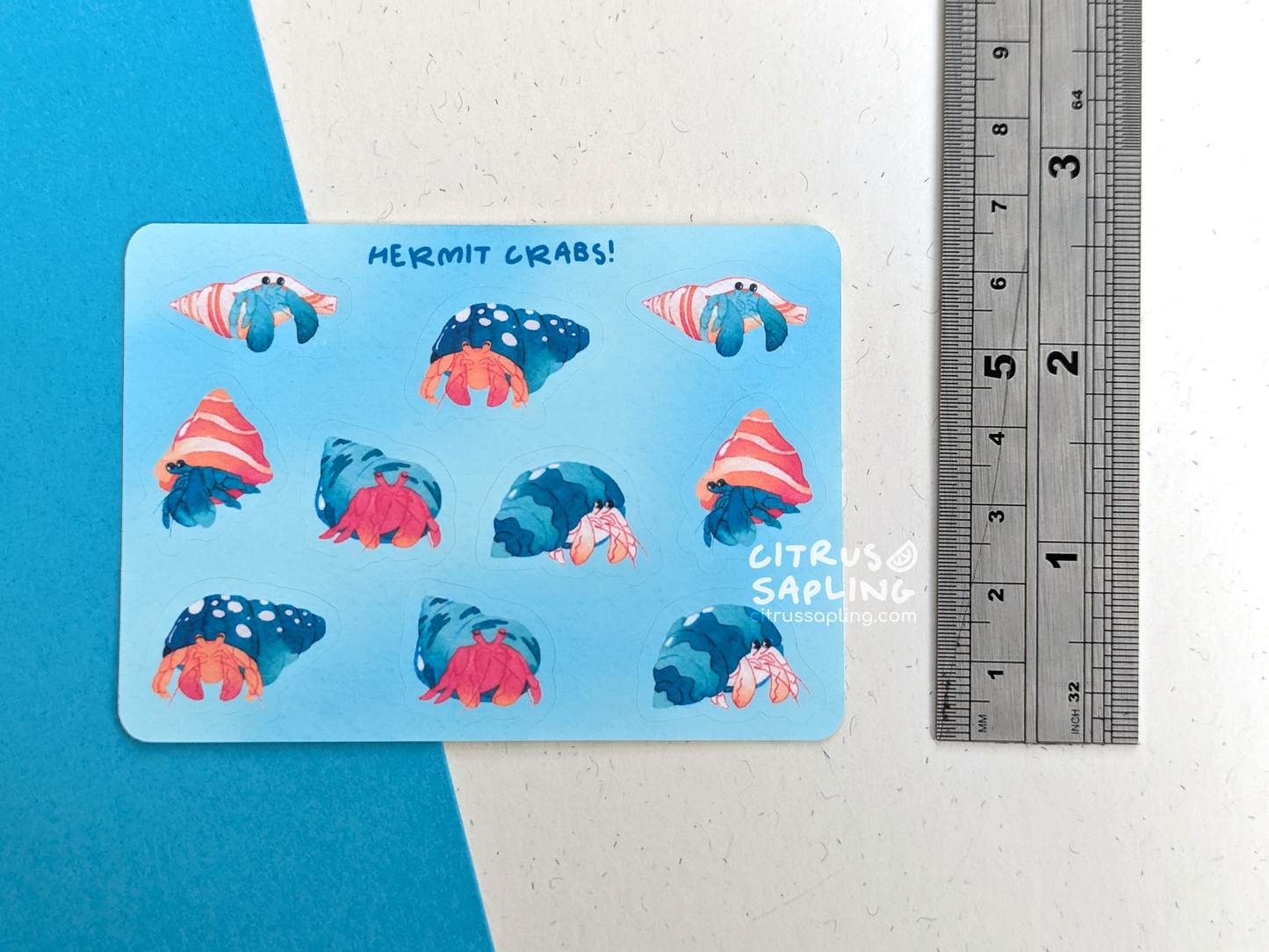 Hermit Crabs Mini Sticker Sheet