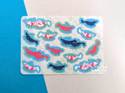 Shrimp Mini Sticker Sheet