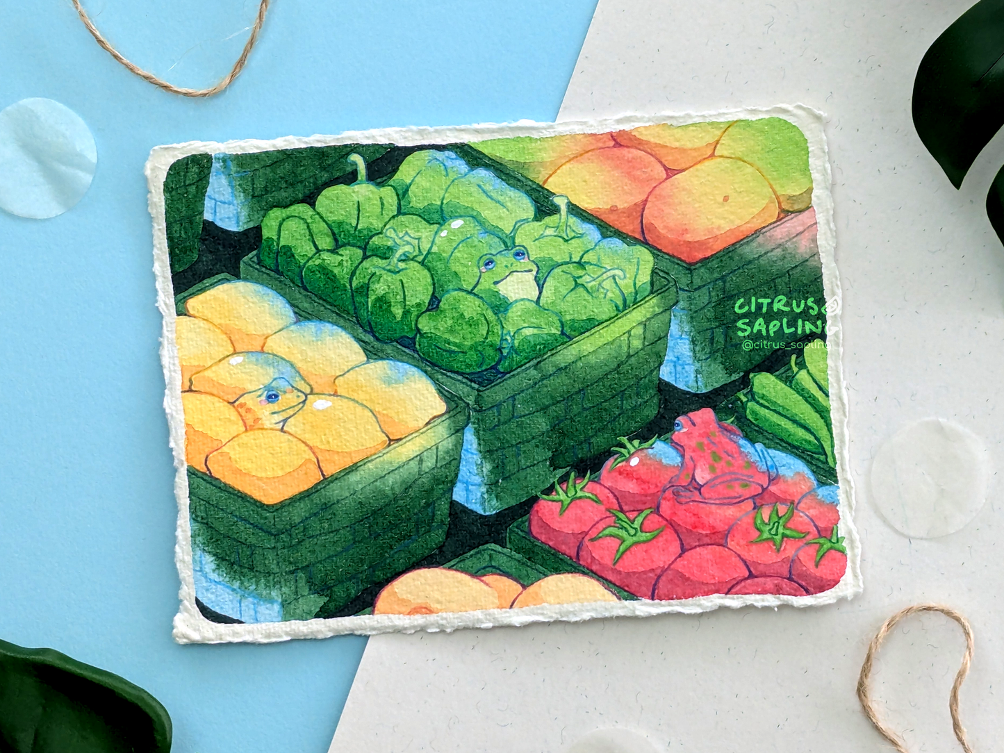 Frog Groceries Original Watercolour Painting