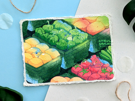 Frog Groceries Original Watercolour Painting
