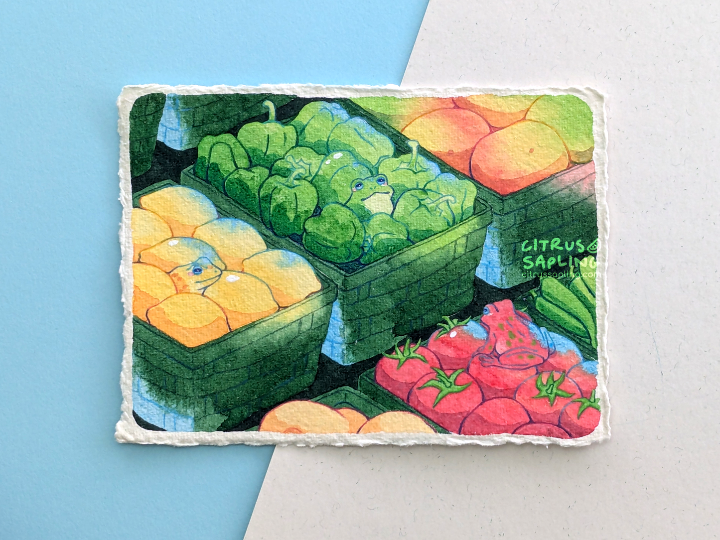 Frog Groceries Original Watercolour Painting