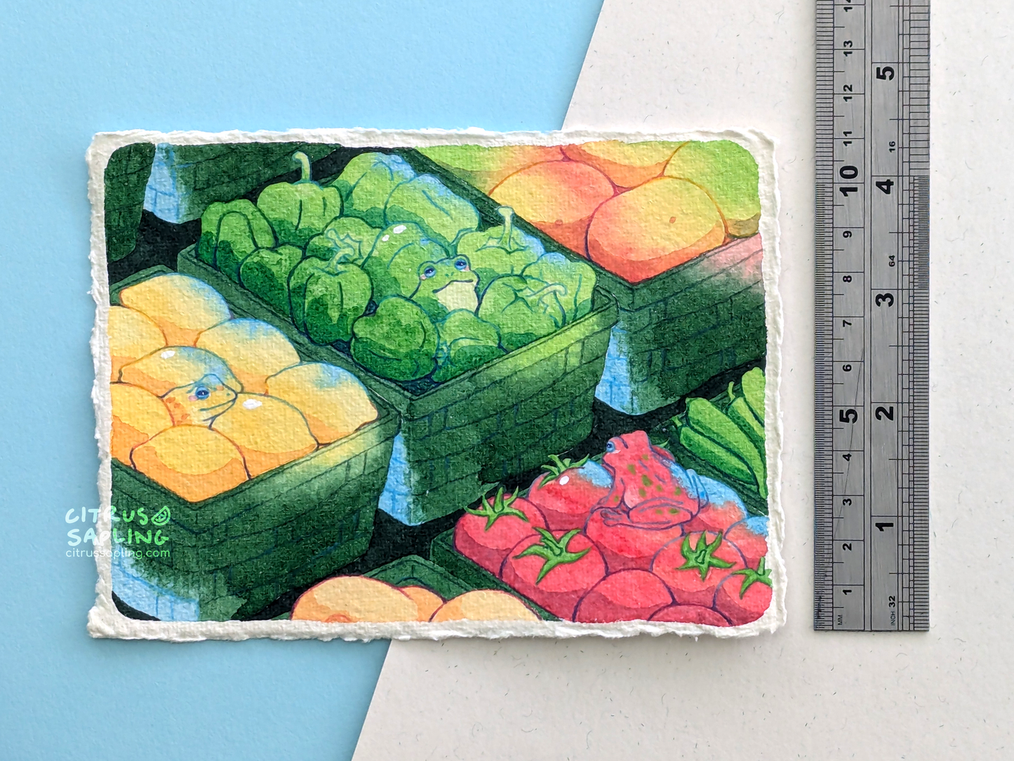 Frog Groceries Original Watercolour Painting