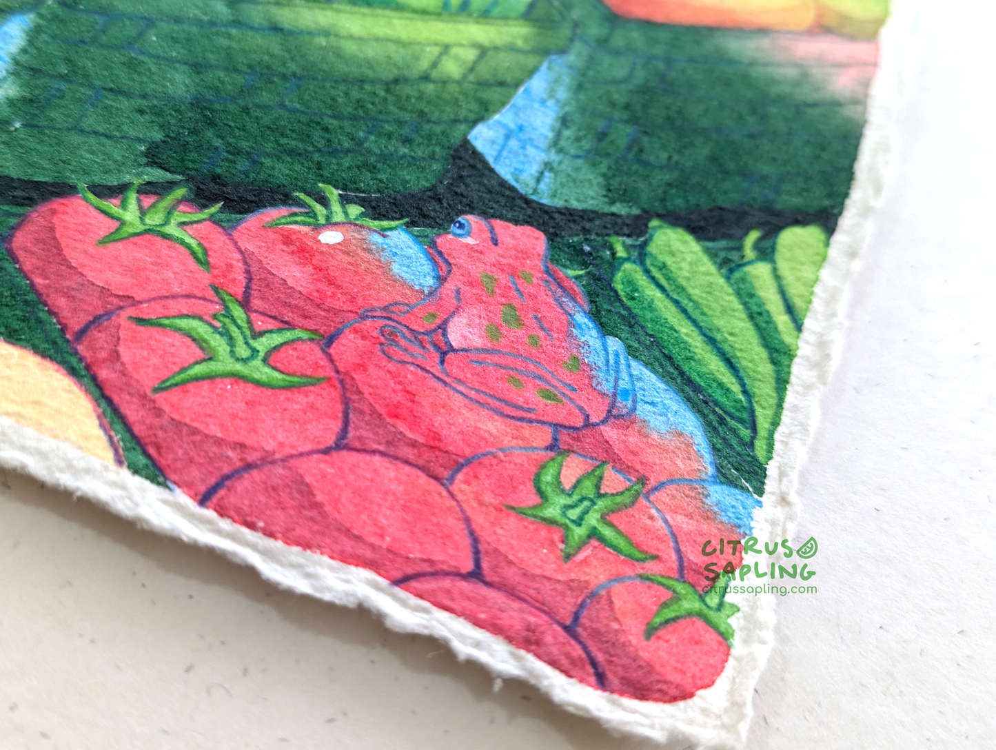 Frog Groceries Original Watercolour Painting