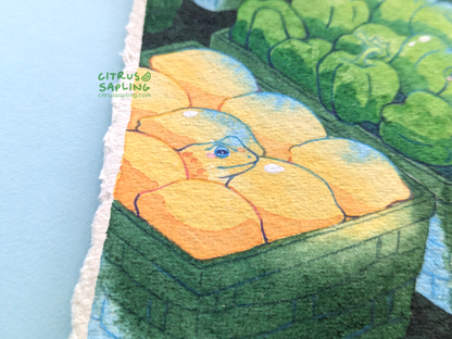 Frog Groceries Original Watercolour Painting