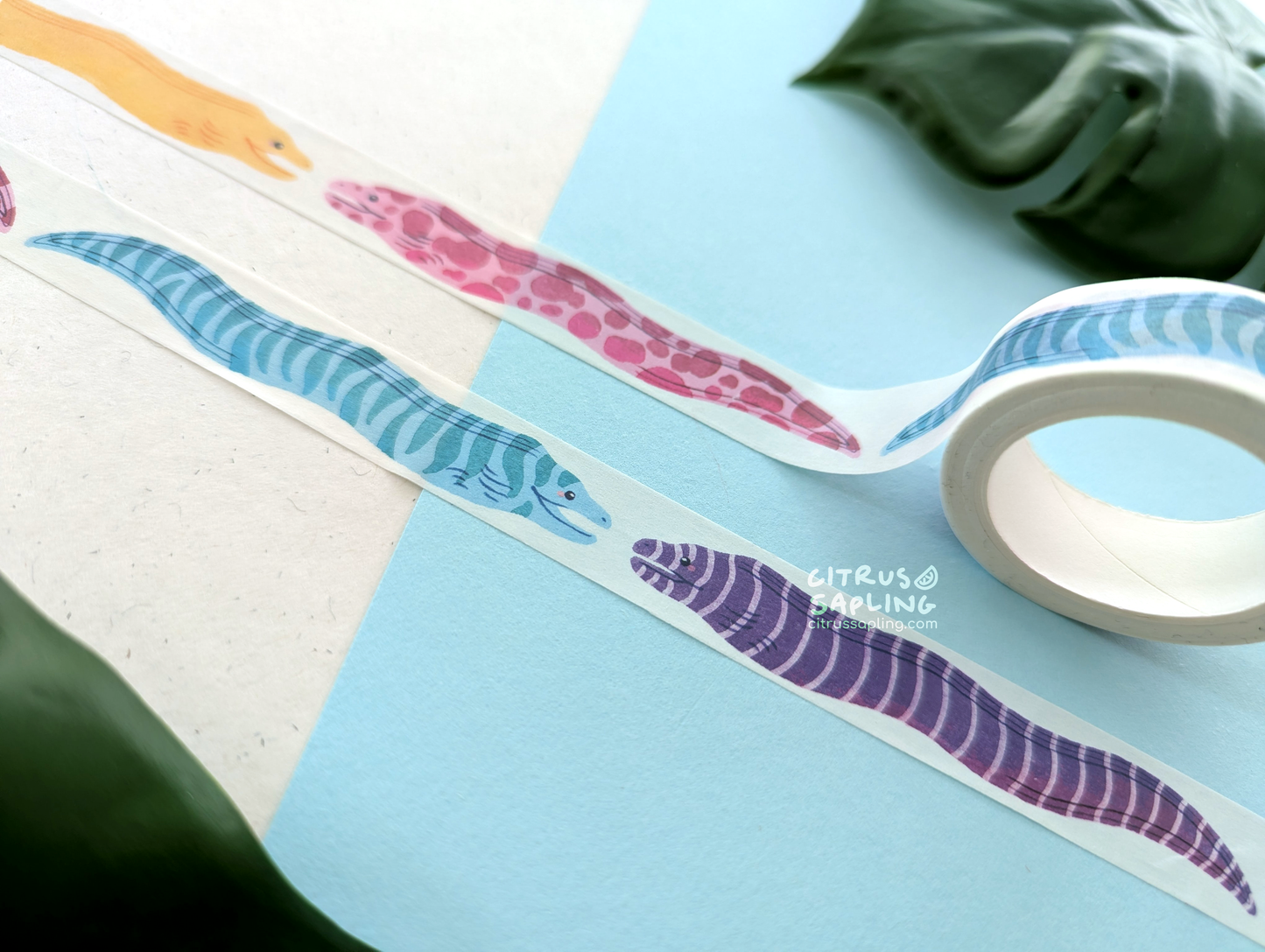 Moray Eel Washi Tape