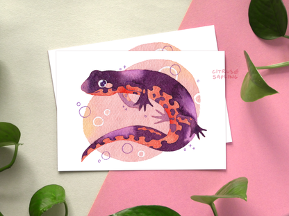 Frog Postcard Prints