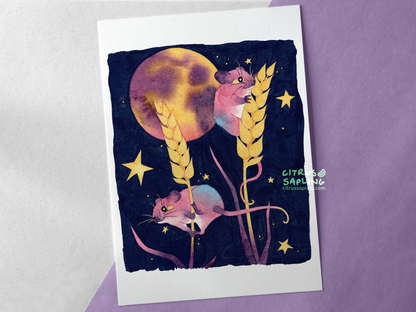 Harvest Mice Art Print