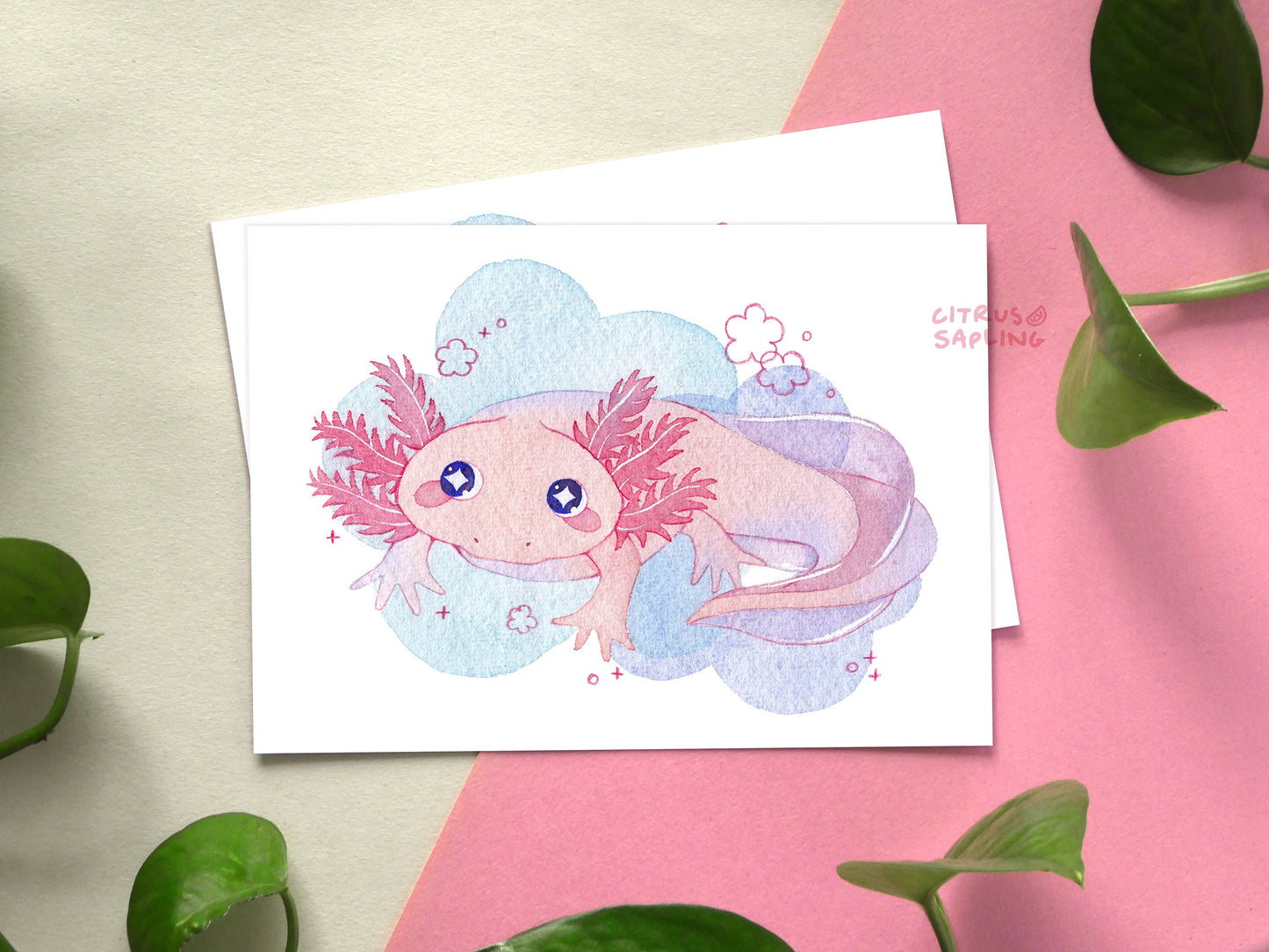 Frog Postcard Prints