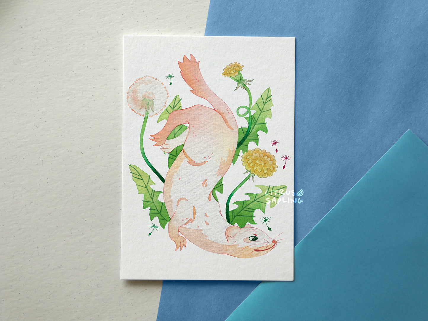 Weasel Dandelion Postcard Print