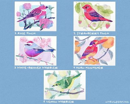 Exotic Garden Birds Postcards