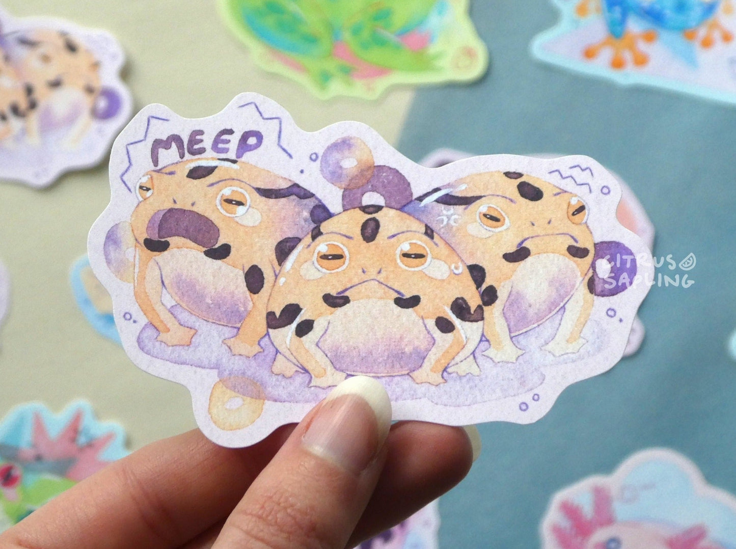 Desert Rain Frog Sticker