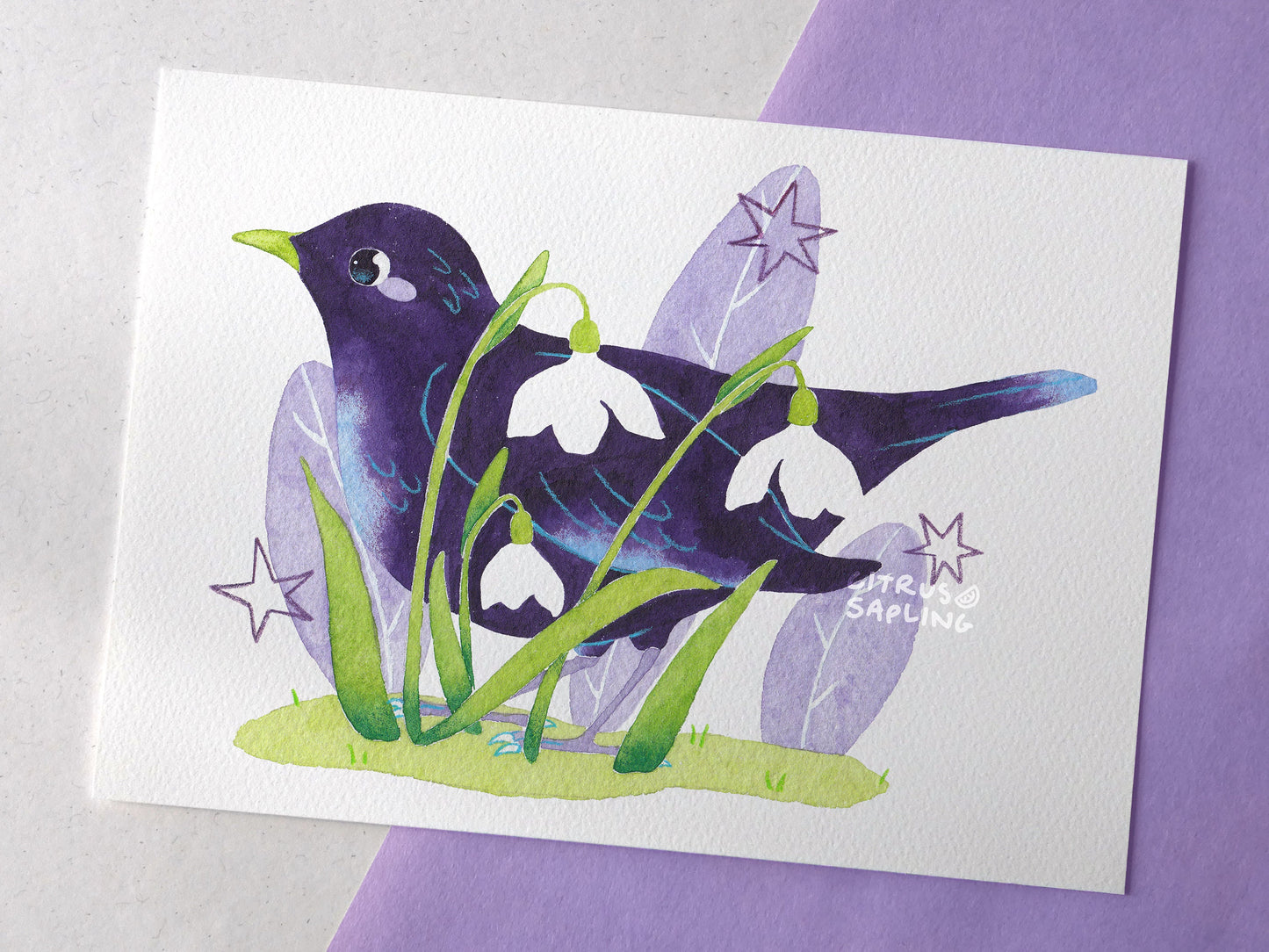 Blackbird Snowdrops Art Print