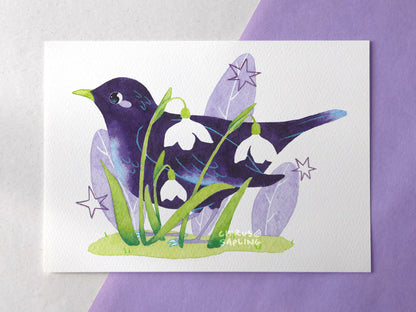 Blackbird Snowdrops Art Print